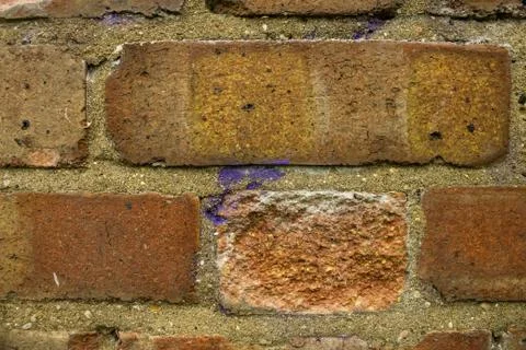 Brick wall background Photos