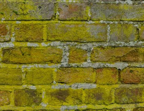 Brick wall background Stock Photos