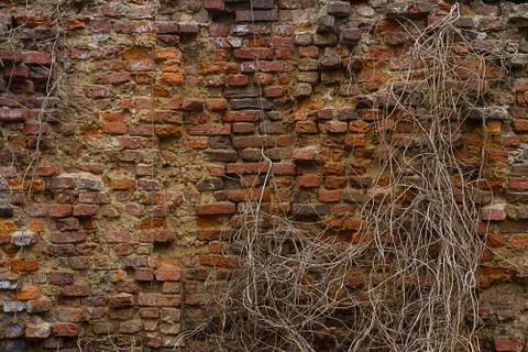 Brick wall background Stock Photos