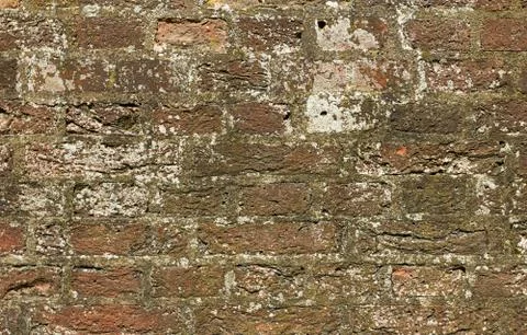 Brick wall background Stock Photos