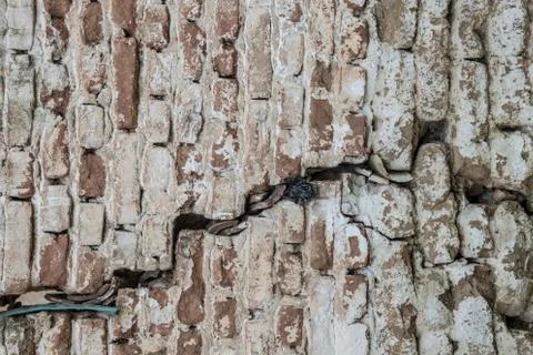Brick wall as a background Stock Photos