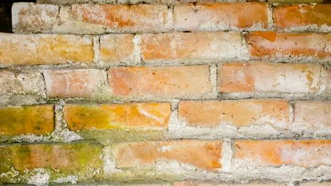 Brick wall - Background 스톡 사진