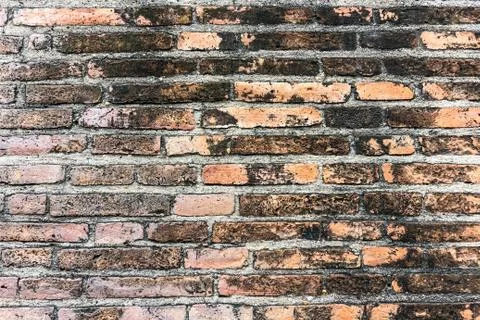 Brick wall background. Stock Photos