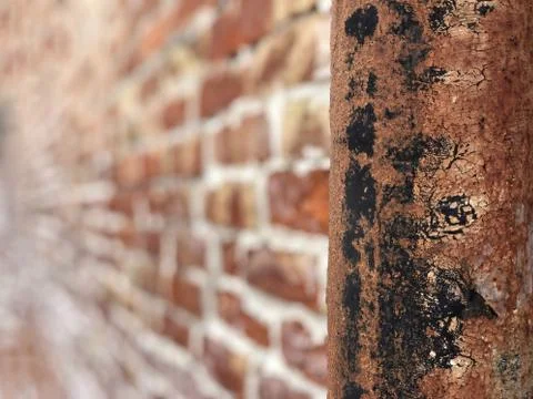 Brick wall as a background Stock Photos
