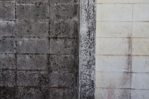 Brick wall for background 스톡 사진