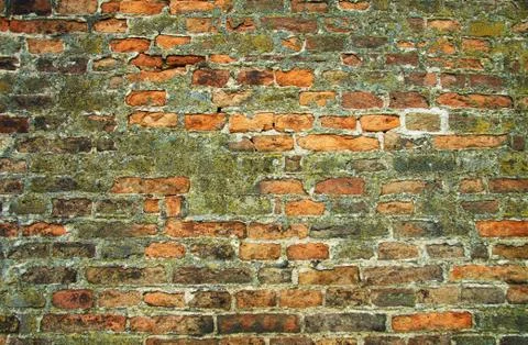 Brick wall background, texture Stock Photos
