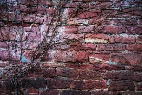 Brick Wall Background Texture Foto stock