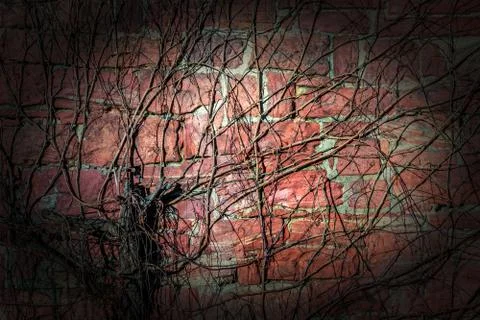 Brick Wall Background Texture Foto stock