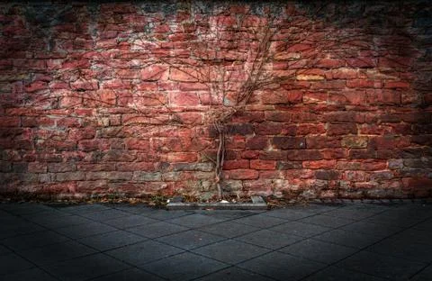 Brick Wall Background Texture 스톡 사진