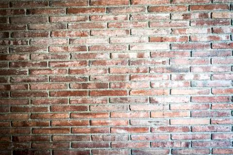 Brick wall background ( wall texture ) Stock Photos