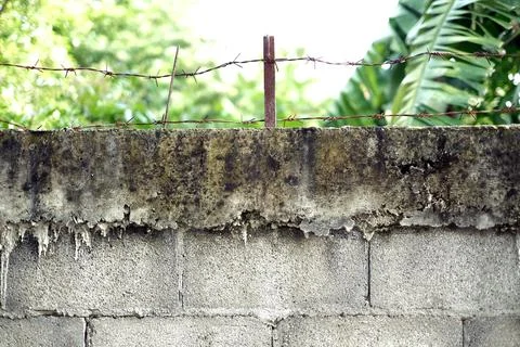 Brick wall with barbed-wire Foto stock