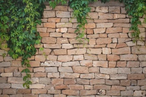 Brick wall. beautiful texture. Stock Photos