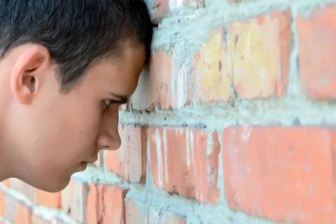 The brick wall blocks a way Stock Photos
