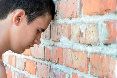 The brick wall blocks a way Stock Photos