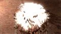 Brick wall break through demolish smash escape to white light 3 HD Footage