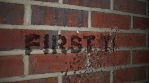 Brick wall chisel Stock After Effects