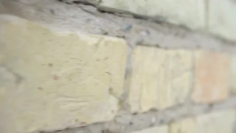 Brick wall close by. Stock Footage 131826300