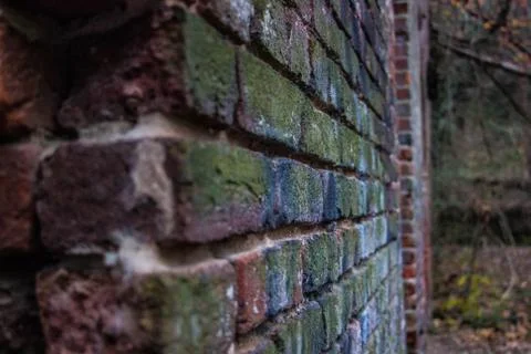 Brick Wall Up Close forground blurred Stock Photos