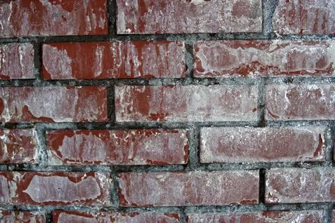Brick wall close up Stock Photos
