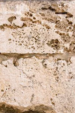 Brick wall close up Stock Photos