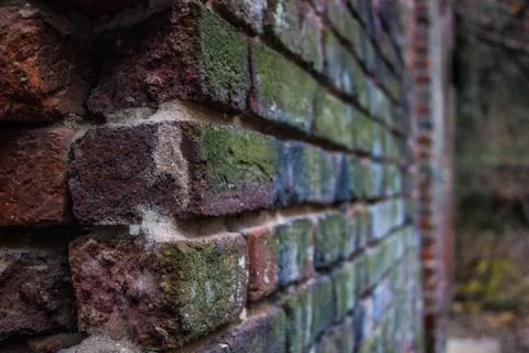 Brick Wall Up Close Shallow Depth of Feild Stock Photos