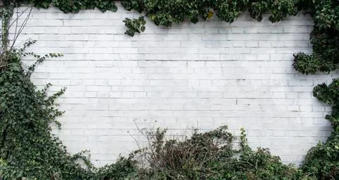 Brick wall construction design white background texture rough surface pattern Stock Photos
