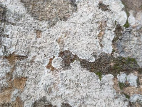 Brick wall with cracks and cracks Фото