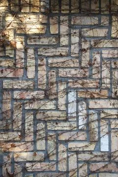 A brick wall with decorative masonry, intertwined with dry branches of clim.. Stock Photos