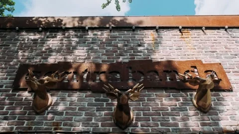 Brick wall with deer antlers Stock Footage 246584082