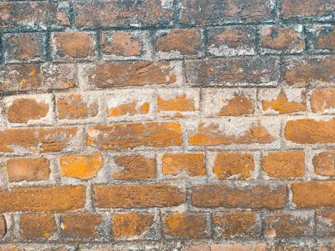 Brick wall design Stock Photos
