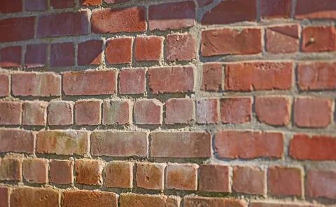 Brick wall, empty and construction site for architecture, engineering for b.. Stock Photos
