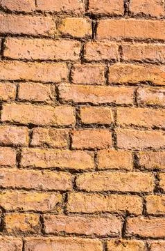 A brick wall with a few missing bricks Stock Photos