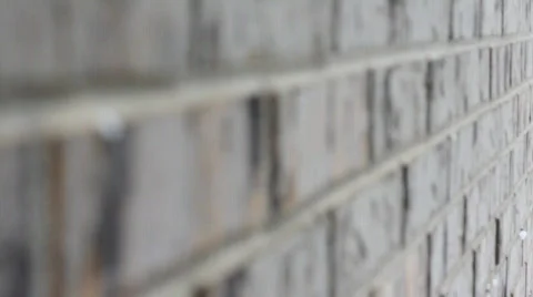 Brick wall focus racked far to near Stock Footage 547685