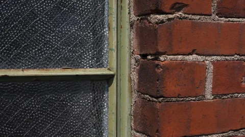 Brick wall Stock Footage 33755701