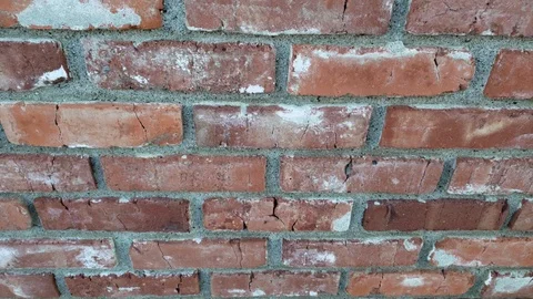 Brick Wall Stock Footage 122017180