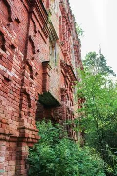 Brick wall in the forest. Stock Photos