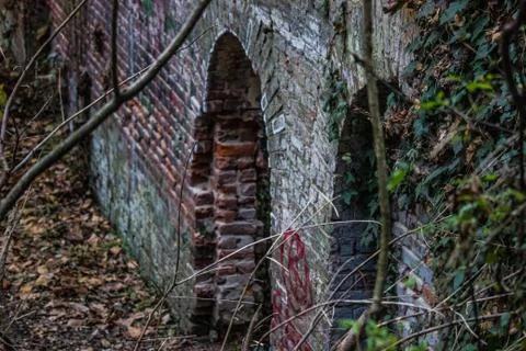 Brick wall in forrest Stock Photos