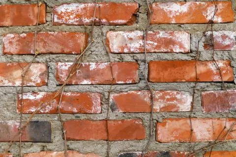 Brick wall fragment Stock Photos