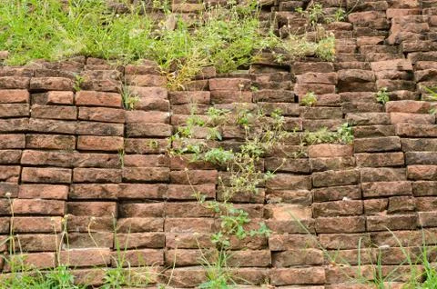 Brick wall with grass Stock Photos