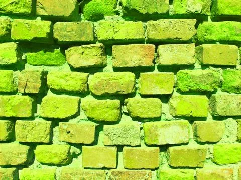 Brick Wall Green Stock Photos