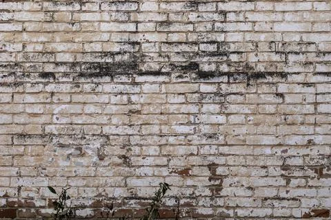 Brick wall. Grunge wall background. Background of old brickwork of vintage brick Stock Photos