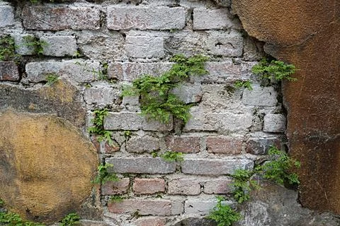 Brick wall that has been damaged by cement Fotos Stock