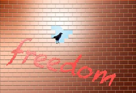 A  brick wall has a hole in it allowing escape to another area, world, life o Stock Illustration