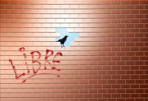 A  brick wall has a hole in it allowing escape to another area, world, life o Stock Illustration