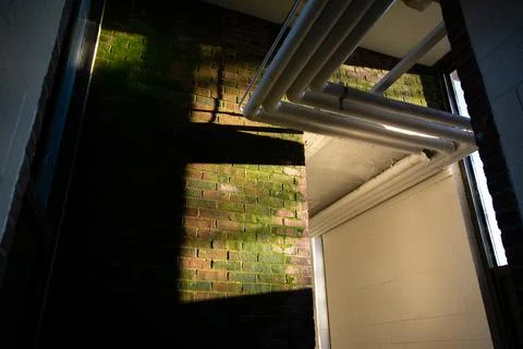 A Brick Wall With Light and Shadows and Moss Growing On It Stock Photos