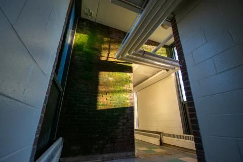 A Brick Wall With Light and Shadows and Moss Growing On It Stock Photos