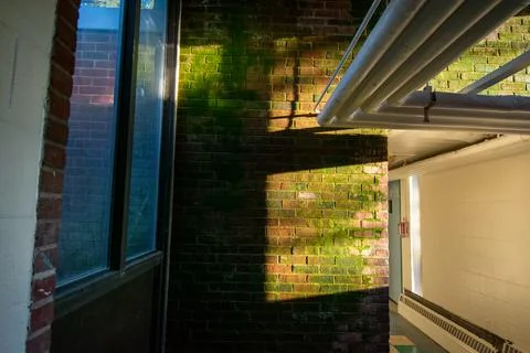 A Brick Wall With Light and Shadows and Moss Growing On It Stock Photos