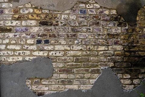 Brick wall with mold Stock Photos