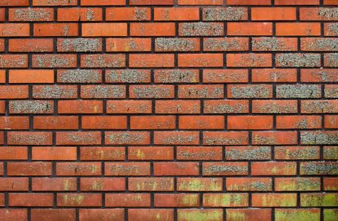 Brick wall with moss background Foto stock