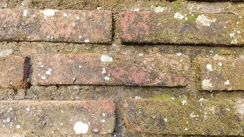 A brick wall with moss growing on it Stock Photos